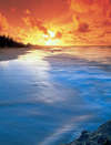 Crystal Cove 